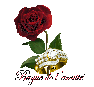 amour