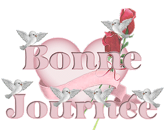 a mes visiteur