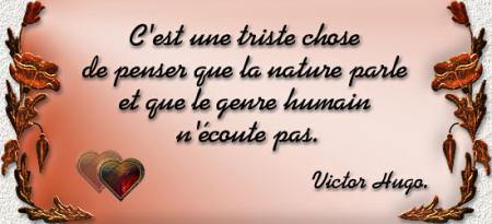 c est beau sa